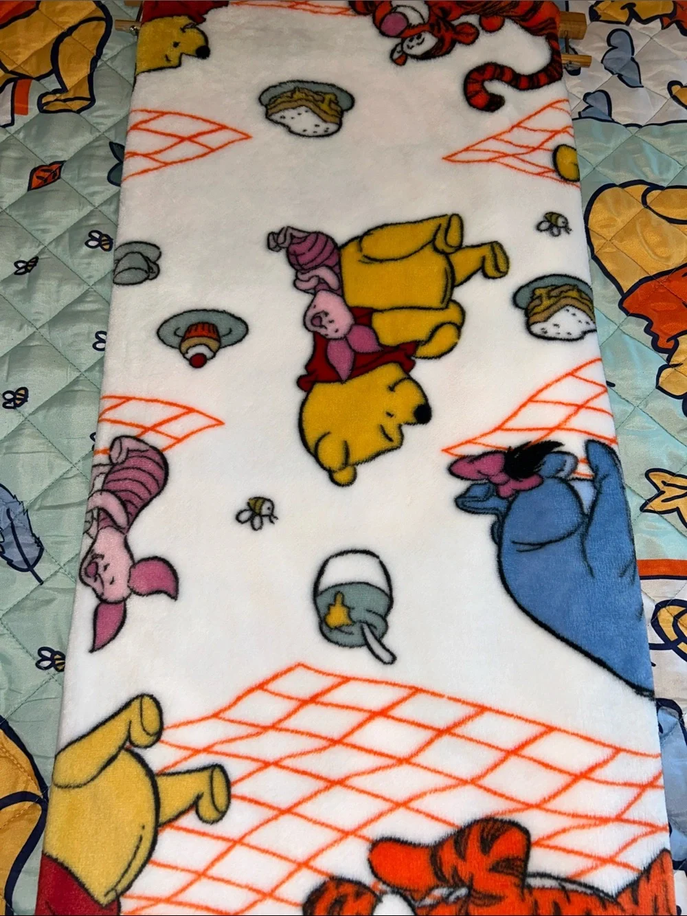 Winnie the Pooh Plush Picnic Throw Blanket